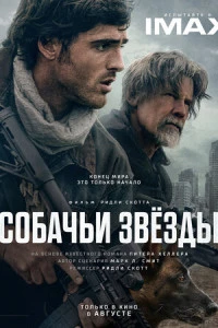 Собачьи звёзды 2026